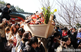 日本女儿节和歌山淡岛神社的流雏
