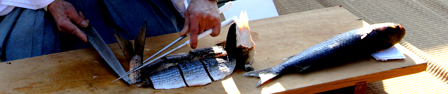 日本海民的奇祭盘中鱼与射箭